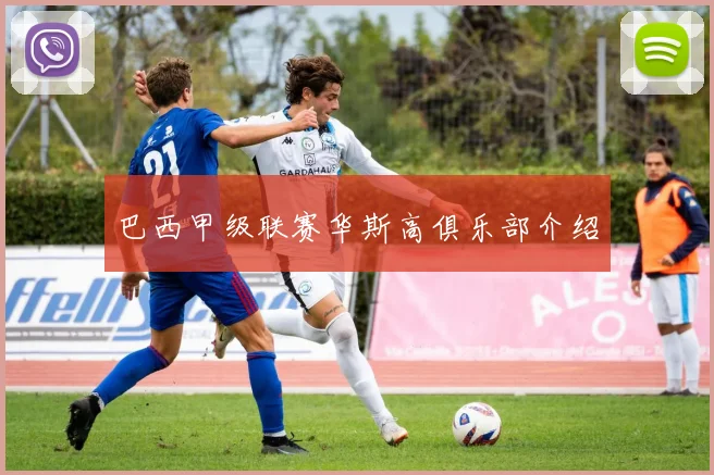 巴西甲级联赛华斯高俱乐部介绍