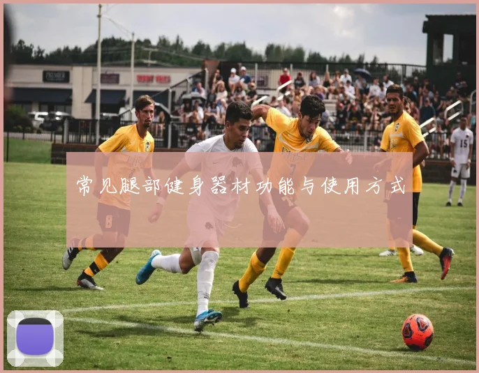 常见腿部健身器材功能与使用方式