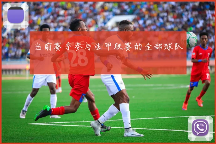 当前赛季参与法甲联赛的全部球队