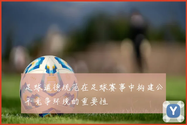 足球道德规范在足球赛事中构建公平竞争环境的重要性
