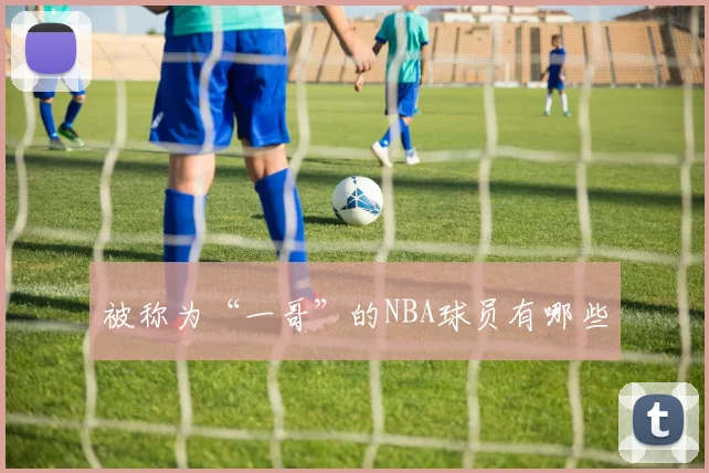 被称为“一哥”的NBA球员有哪些