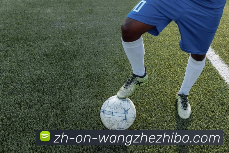 多媒体互动体验