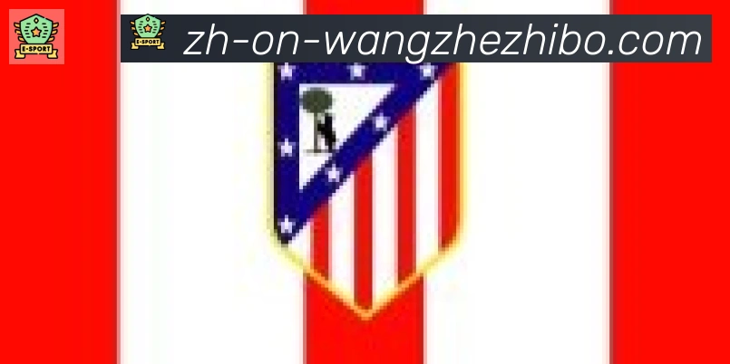 王者体育合作伙伴